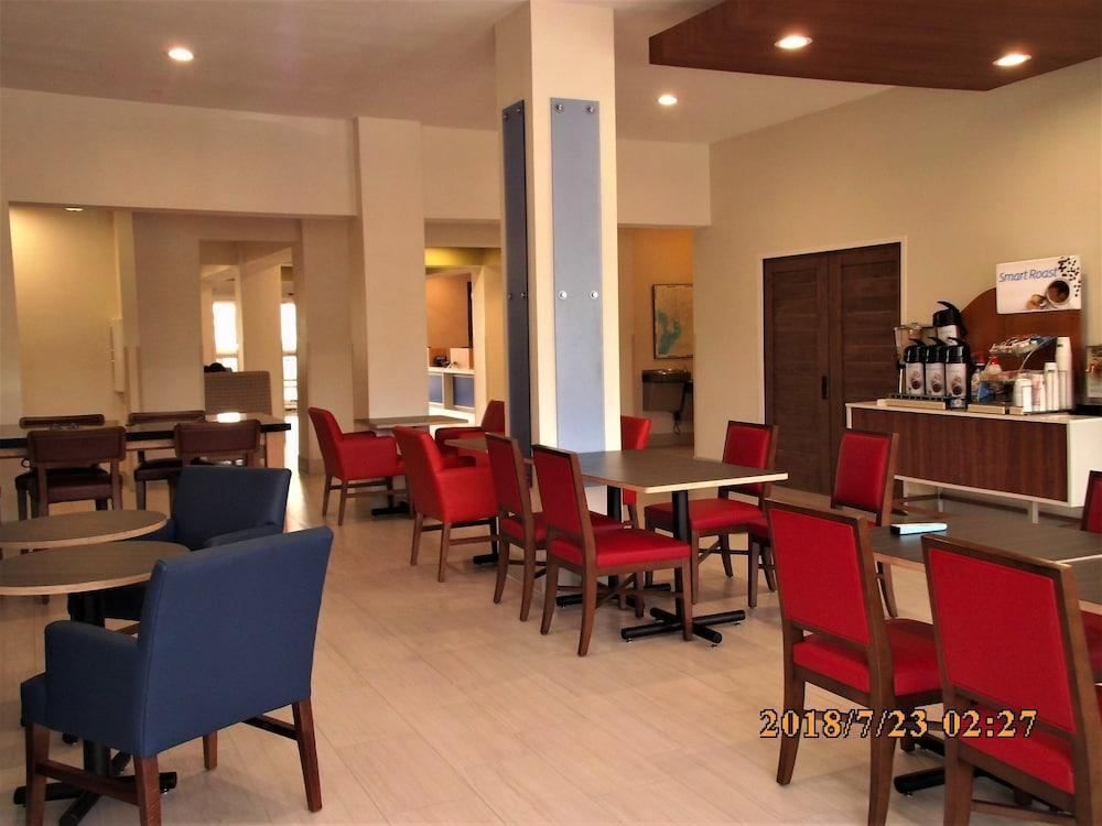 Holiday Inn Express Hotel & Suites Tampa-Fairgrounds-Casino By Ihg Mango Exterior photo